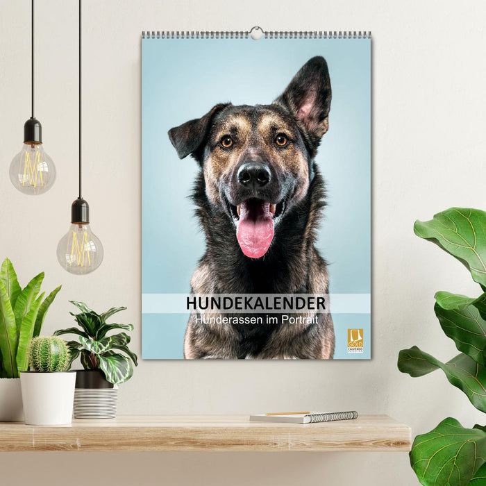 Hundekalender - Hunderassen im Portrait (CALVENDO Wandkalender 2025)