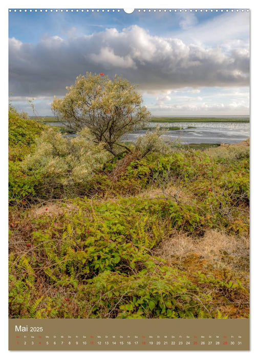 Ostfriesland - Westermarsch und Norden (CALVENDO Wandkalender 2025)