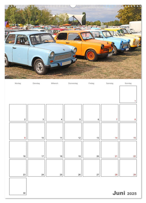 Ost-Oldtimer in Magdeburg (CALVENDO Wandkalender 2025)