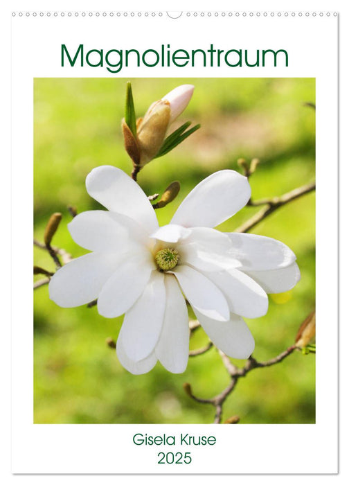 Magnolientraum (CALVENDO Wandkalender 2025)