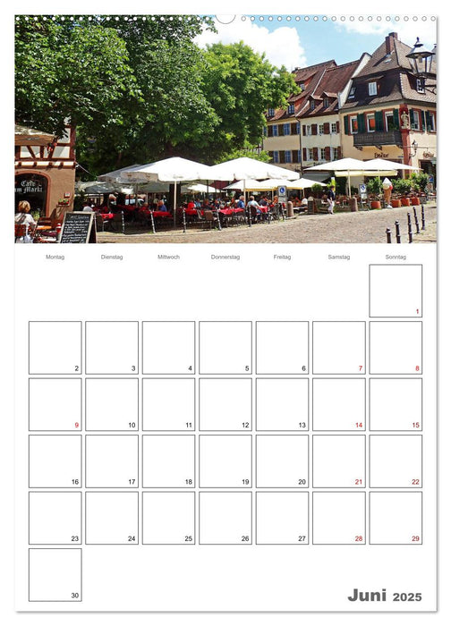 Weinheim an der Bergstraße Planer (CALVENDO Wandkalender 2025)