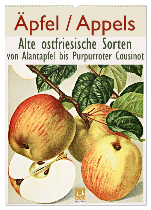 Äpfel/Appels. Alte ostfriesische Sorten (CALVENDO Wandkalender 2025)