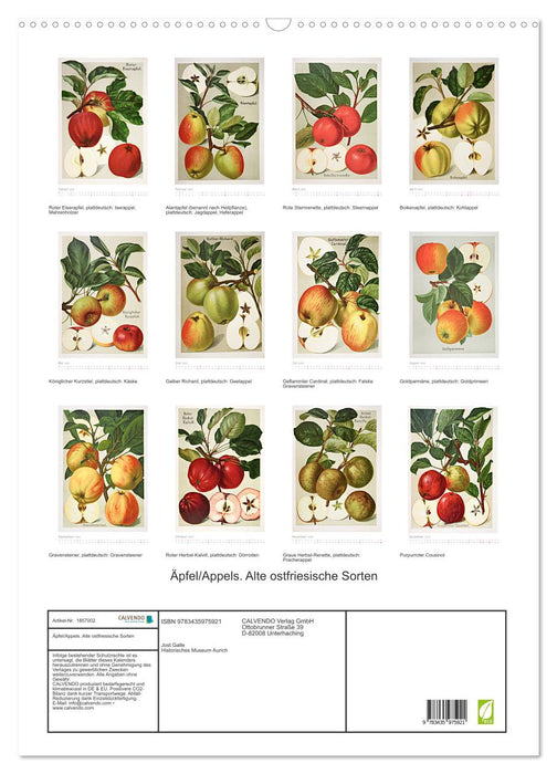 Äpfel/Appels. Alte ostfriesische Sorten (CALVENDO Wandkalender 2025)