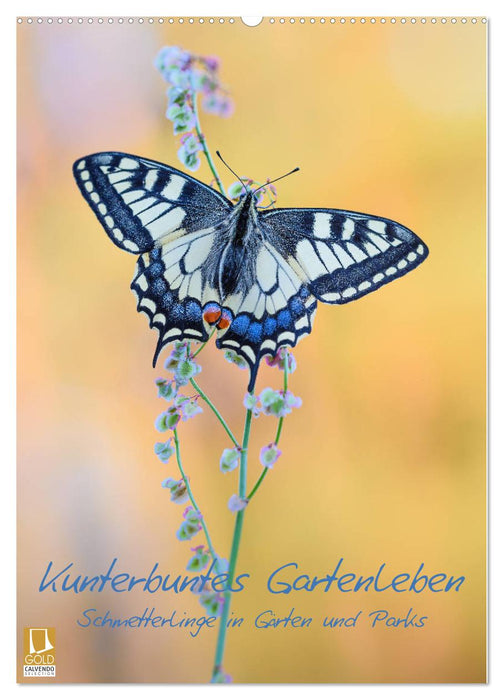 Kunterbuntes Gartenleben - Schmetterlinge in Gärten und Parks (CALVENDO Wandkalender 2025)