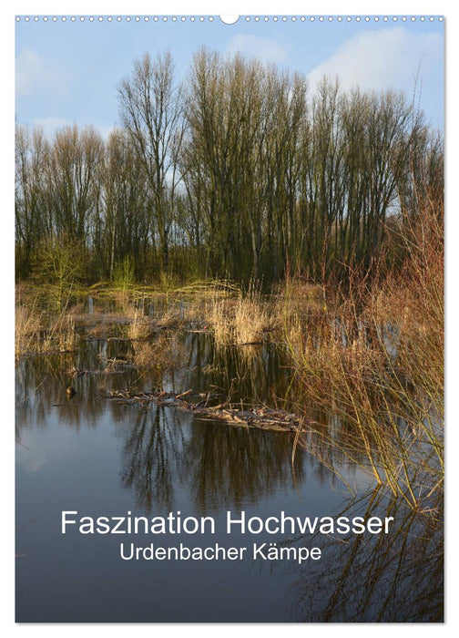 Faszination Hochwasser - Urdenbacher Kämpe (CALVENDO Wandkalender 2025)