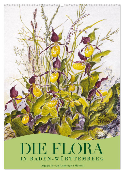 Die Flora in Baden-Württemberg (CALVENDO Wandkalender 2025)