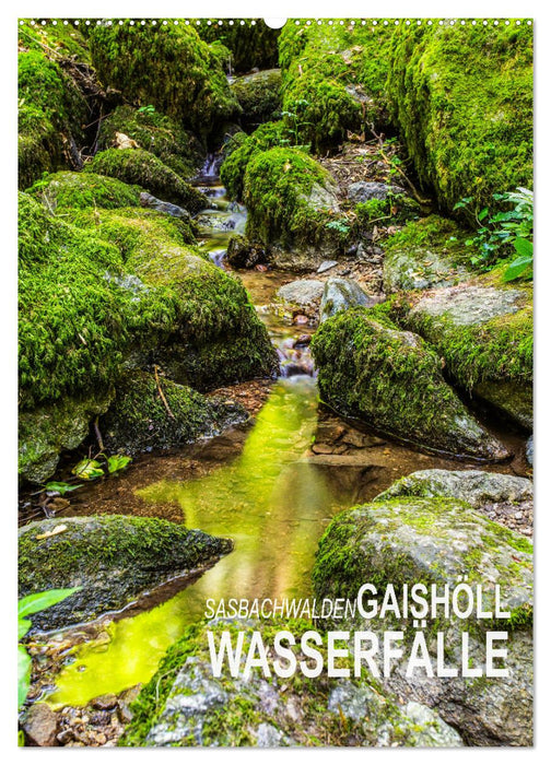 Sasbachwalden Gaishöll-Wasserfälle (CALVENDO Wandkalender 2025)