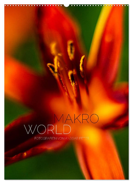 Makro World (CALVENDO Wandkalender 2025)