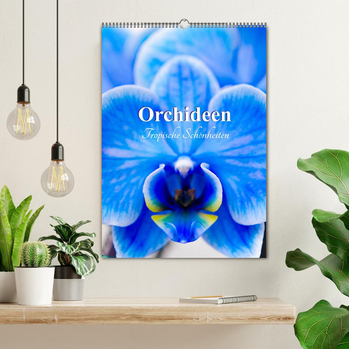 Orchideen - Tropische Schönheiten (CALVENDO Wandkalender 2025)