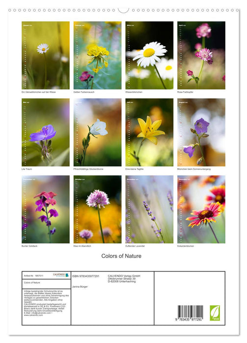 Colors of Nature (CALVENDO Premium Wandkalender 2025)