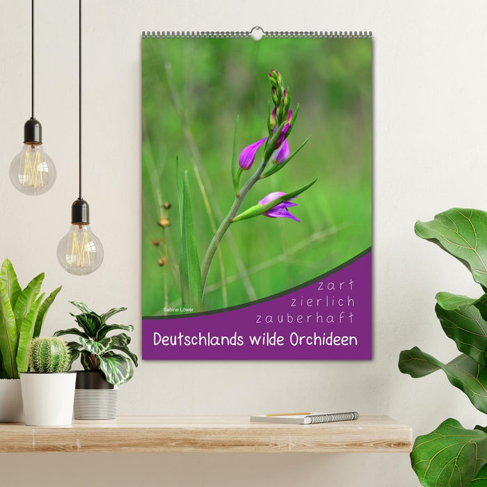 Deutschlands wilde Orchideen (CALVENDO Wandkalender 2025)
