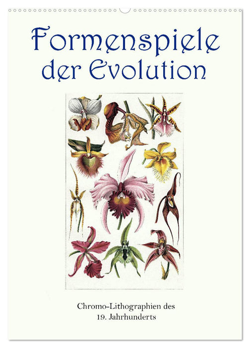 Formenspiele der Evolution. Chromolithographien des 19. Jahrhunderts (CALVENDO Wandkalender 2025)