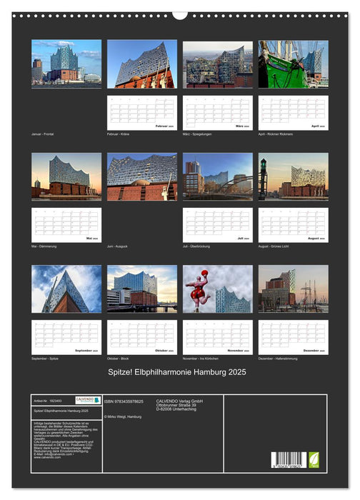 Spitze! Elbphilharmonie Hamburg 2025 (CALVENDO Wandkalender 2025)