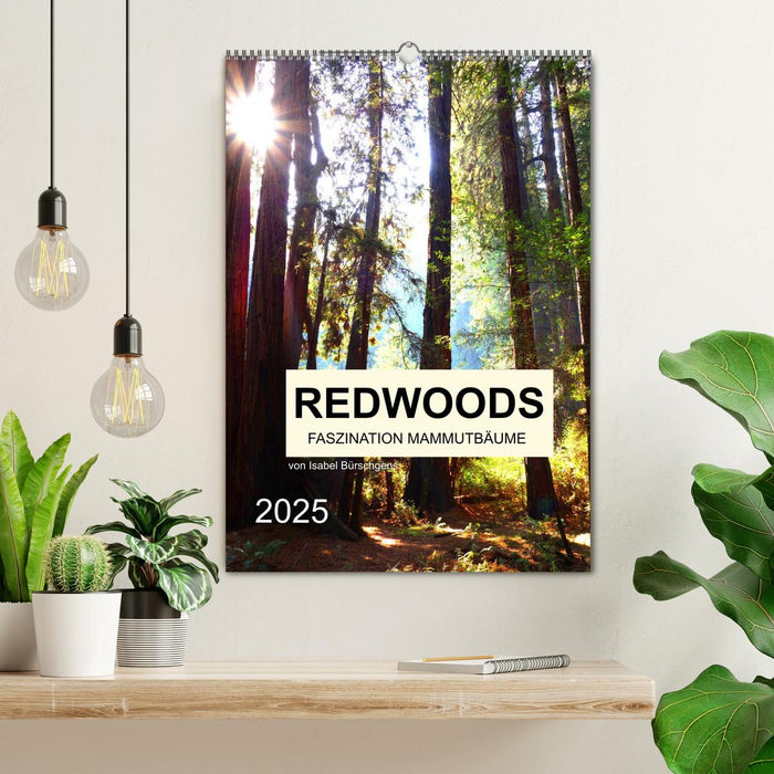 Redwoods - Faszination Mammutbäume (CALVENDO Wandkalender 2025)