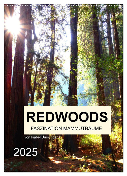 Redwoods - Faszination Mammutbäume (CALVENDO Wandkalender 2025)