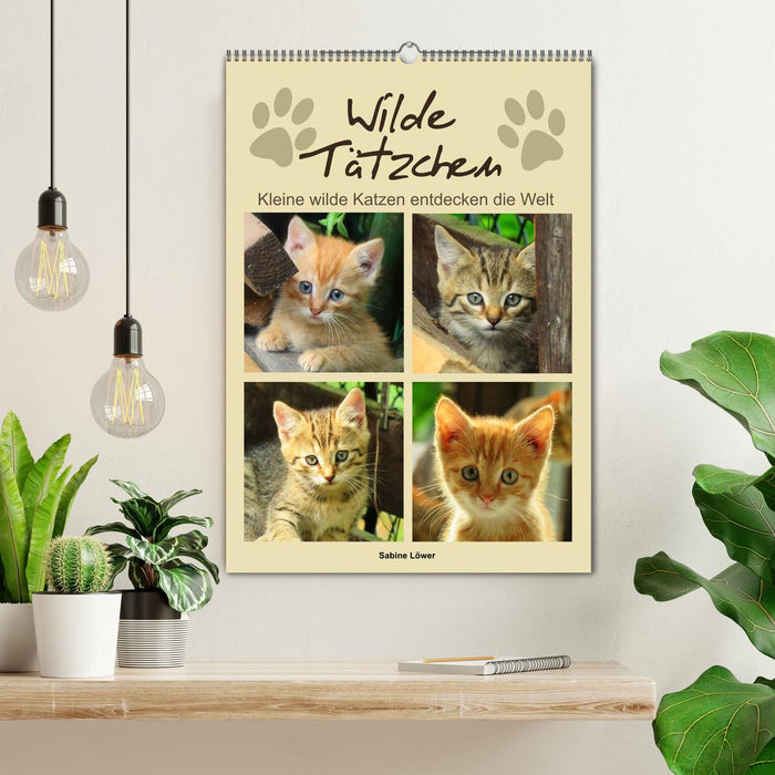 Wilde Tätzchen, kleine wilde Katzen entdecken die Welt (CALVENDO Wandkalender 2025)