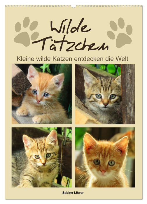 Wilde Tätzchen, kleine wilde Katzen entdecken die Welt (CALVENDO Wandkalender 2025)