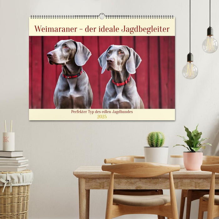 Weimaraner - der ideale Jagdbegleiter (CALVENDO Wandkalender 2025)