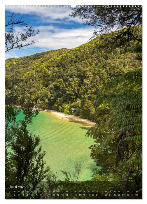 Naturparadies Neuseeland (CALVENDO Premium Wandkalender 2025)