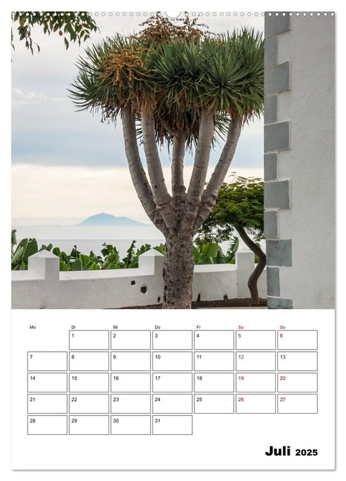 Wanderparadies La Palma (CALVENDO Premium Wandkalender 2025)