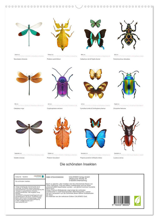 Die schönsten Insekten (CALVENDO Premium Wandkalender 2025)