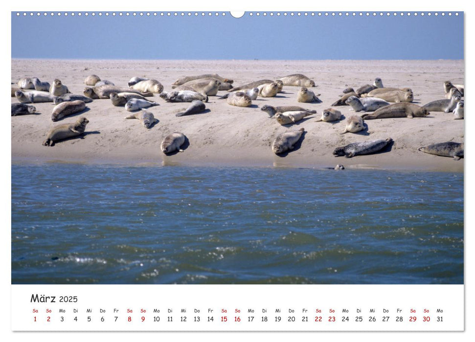 Nordsee, Meer, Strand und Wind (CALVENDO Premium Wandkalender 2025)