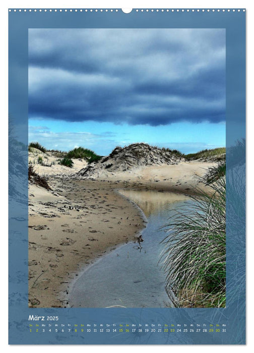 Texel sehen und verlieben (CALVENDO Wandkalender 2025)