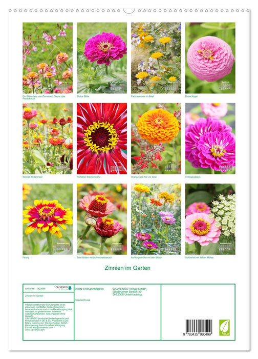 Zinnien im Garten (CALVENDO Premium Wandkalender 2025)