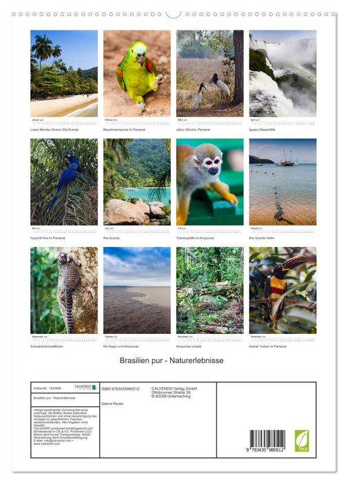 Brasilien pur - Naturerlebnisse (CALVENDO Premium Wandkalender 2025)