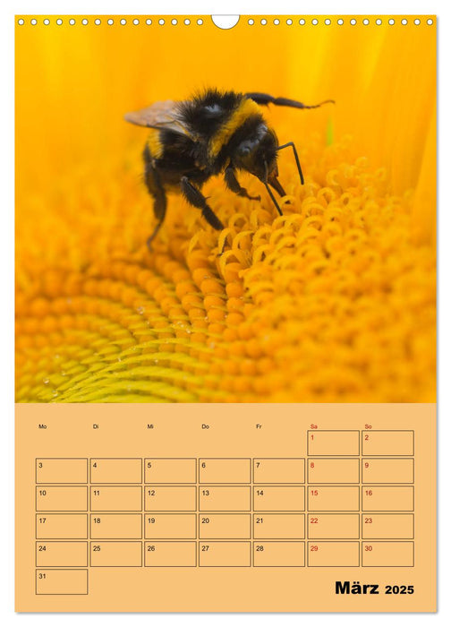Die Biene und die Farbe gelb (CALVENDO Wandkalender 2025)