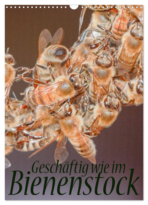 Geschäftig wie im Bienenstock (CALVENDO Wandkalender 2025)