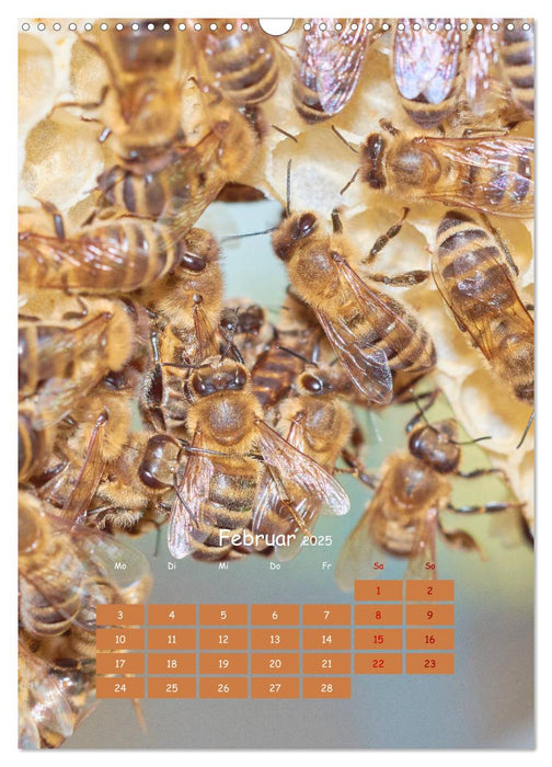 Geschäftig wie im Bienenstock (CALVENDO Wandkalender 2025)