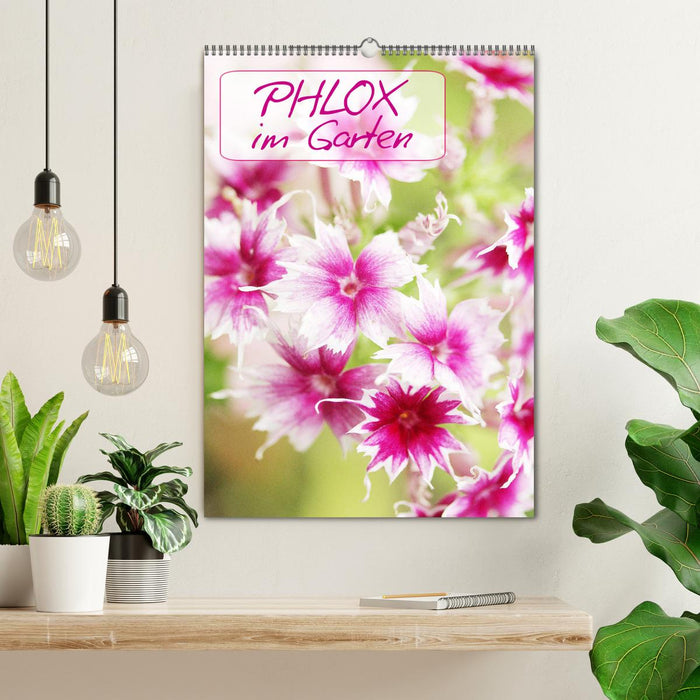 Phlox im Garten (CALVENDO Wandkalender 2025)