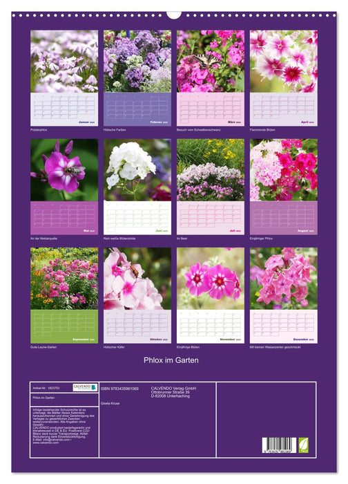 Phlox im Garten (CALVENDO Wandkalender 2025)