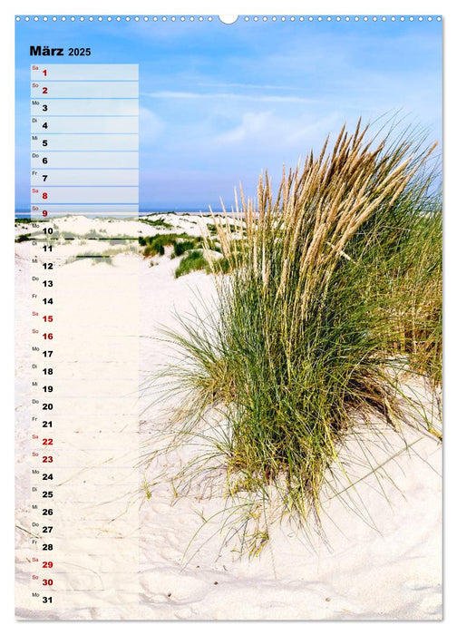 An der See Geburtstagsplaner (CALVENDO Premium Wandkalender 2025)