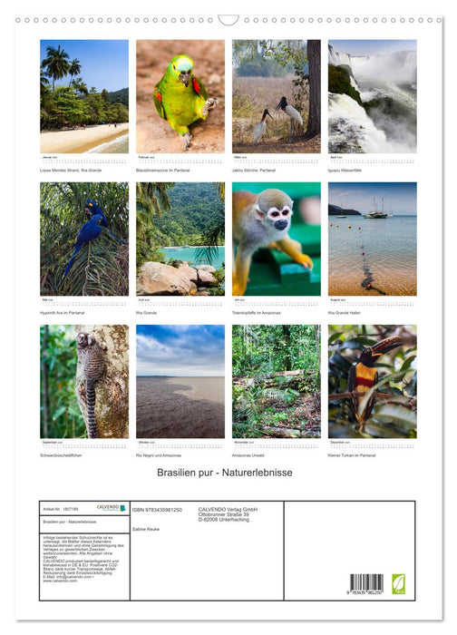 Brasilien pur - Naturerlebnisse (CALVENDO Wandkalender 2025)
