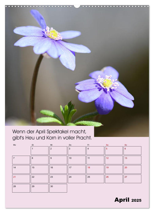 Wetter-Regeln der Bauern (CALVENDO Premium Wandkalender 2025)