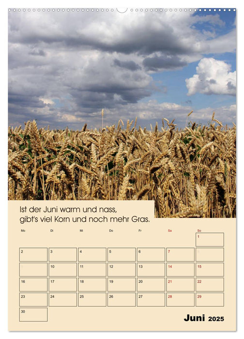 Wetter-Regeln der Bauern (CALVENDO Premium Wandkalender 2025)