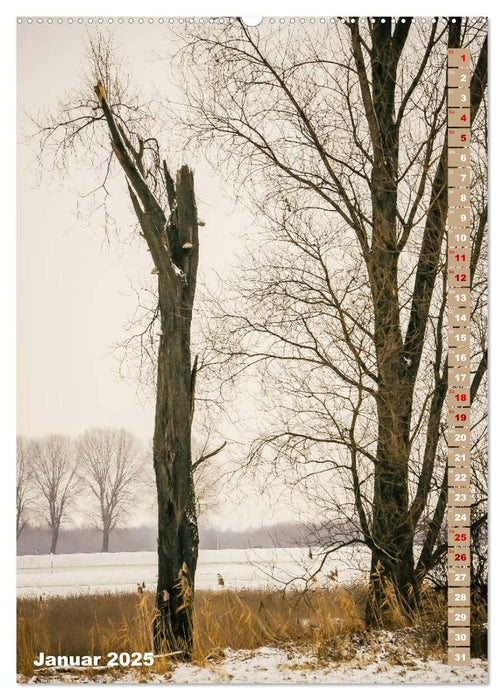 Der Meerbusch - Meerbuscher Rheinspaziergang (CALVENDO Premium Wandkalender 2025)