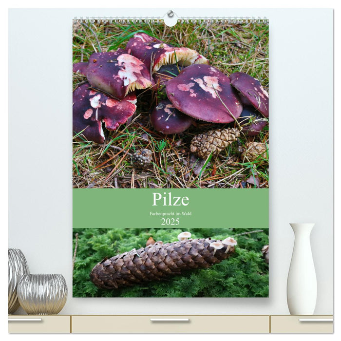 Pilze - Farbenpracht im Wald (CALVENDO Premium Wandkalender 2025)