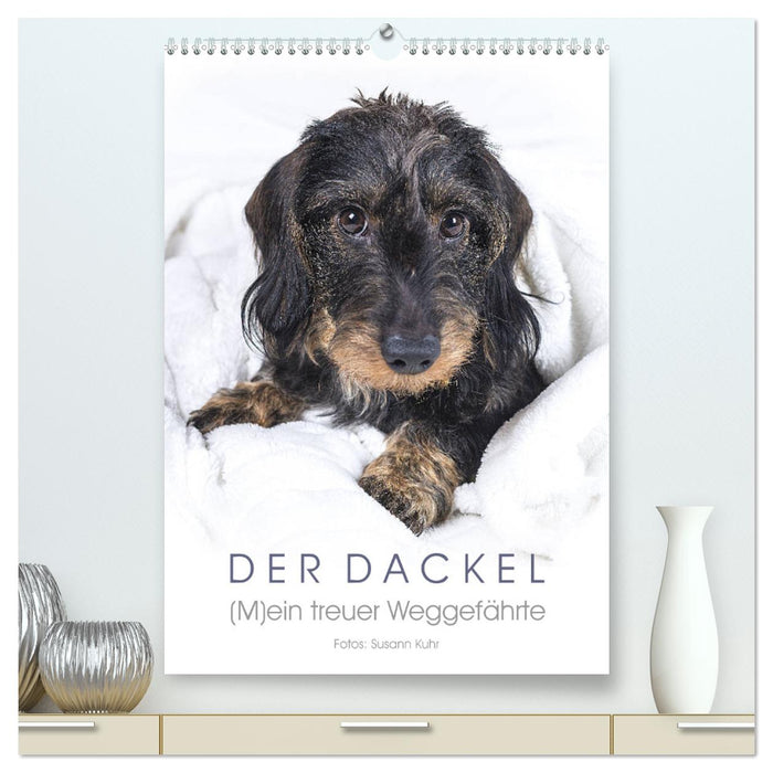 Der Dackel (M)ein treuer Weggefährte (CALVENDO Premium Wandkalender 2025)