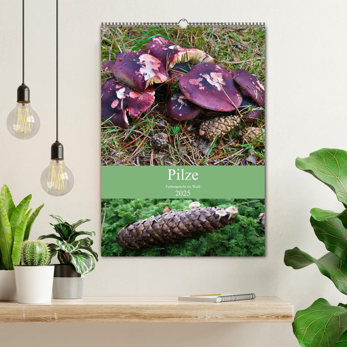 Pilze - Farbenpracht im Wald (CALVENDO Wandkalender 2025)