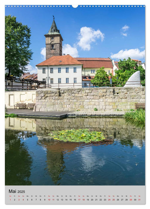 PILSEN Historisches Stadtherz (CALVENDO Premium Wandkalender 2025)