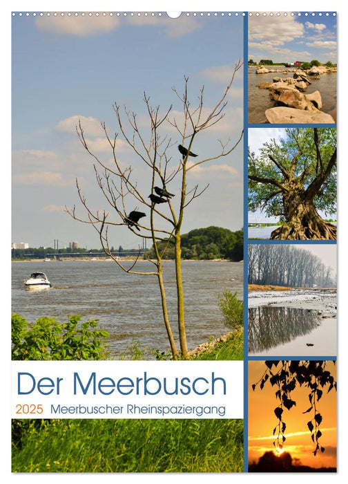 Der Meerbusch - Meerbuscher Rheinspaziergang (CALVENDO Wandkalender 2025)