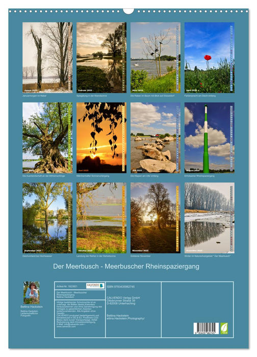 Der Meerbusch - Meerbuscher Rheinspaziergang (CALVENDO Wandkalender 2025)