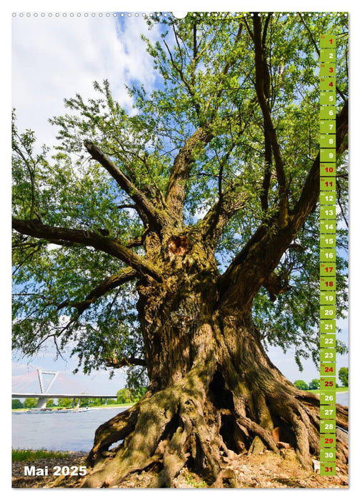 Der Meerbusch - Meerbuscher Rheinspaziergang (CALVENDO Wandkalender 2025)