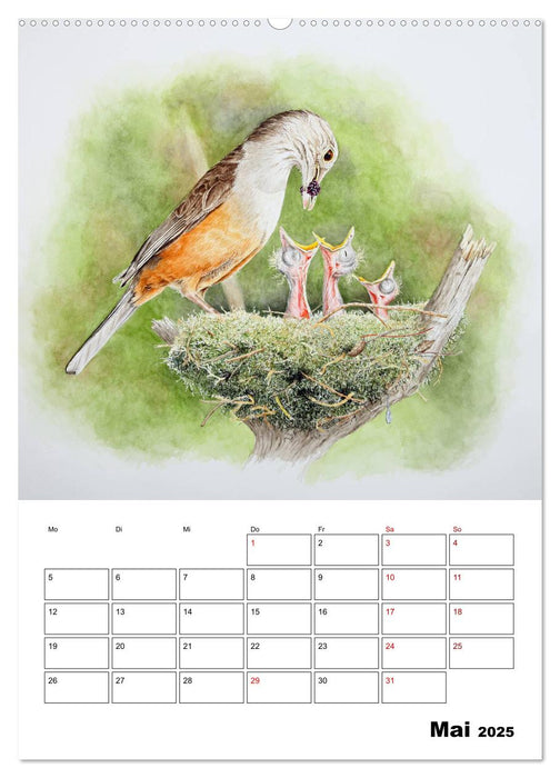 Vögel im Wind (CALVENDO Premium Wandkalender 2025)