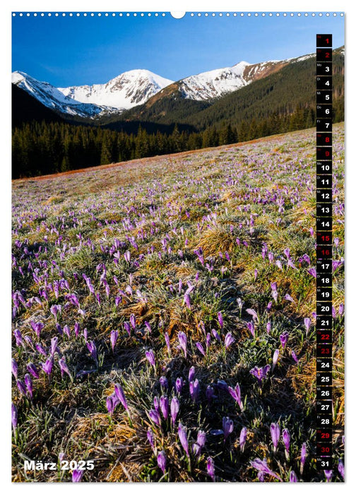 Impressionen aus der Tatra (CALVENDO Premium Wandkalender 2025)