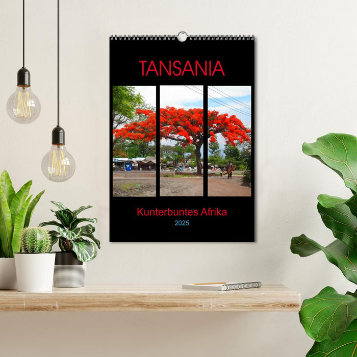 TANSANIA - Kunterbuntes Afrika (CALVENDO Wandkalender 2025)