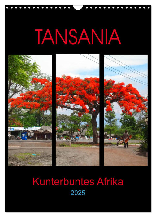TANSANIA - Kunterbuntes Afrika (CALVENDO Wandkalender 2025)